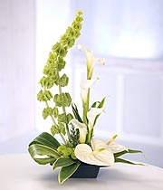 Bluebells Florist Downham Market Norfolk